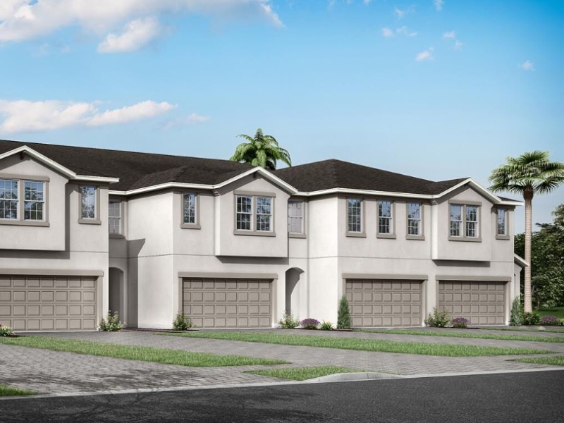 19222 Blue Pond Drive - Florida - Tampa - 33558