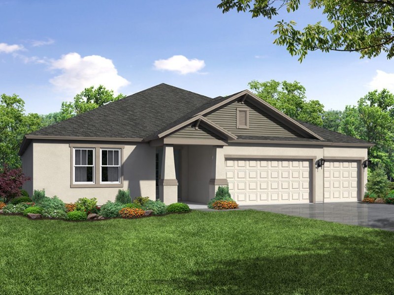 3925 Coconut Palm Dr. Suite 117 - Florida - Tampa - 33619