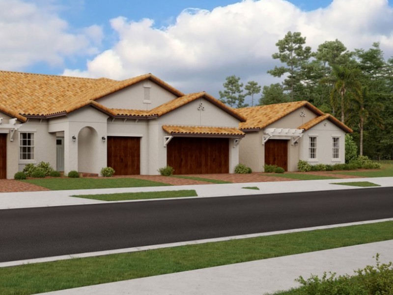 16910 Scuba Crest St - Florida - Tampa - 33598